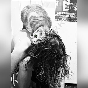 Limited Edition Signed And Numbered Archival Print "Cat69" 24x18 MCM